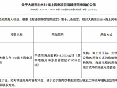 大唐江蘇400MW海上風電項目用海公示！